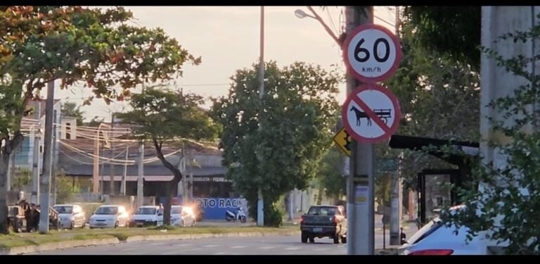 Prefeitura de Campos inicia cadastramento de trabalhadores com veículos de tração animal