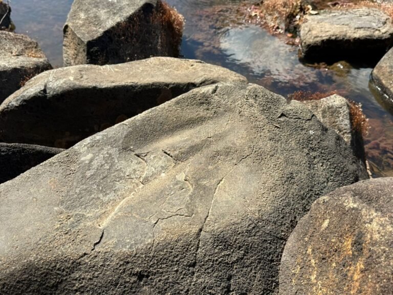 Arqueólogos identificam vestígios de oficina indígena milenar em  Tartarugalzinho, no AP