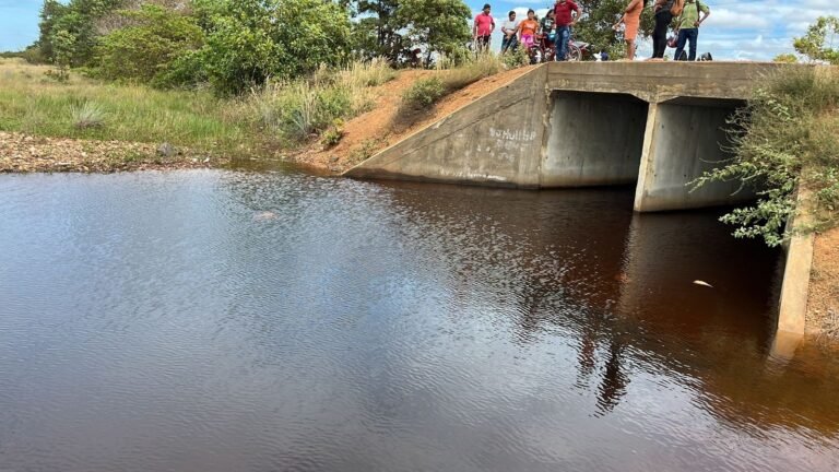 Você viu? Julgamento sobre cassação do governador, ataque de pitbull após invasão de quintal e mais em Roraima