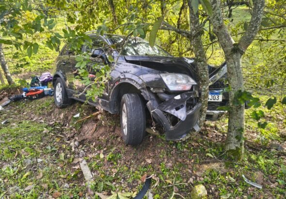 Motorista foge de guardas e só para ao colidir contra árvore em Balneário Camboriú